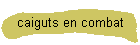 caiguts en combat