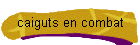 caiguts en combat
